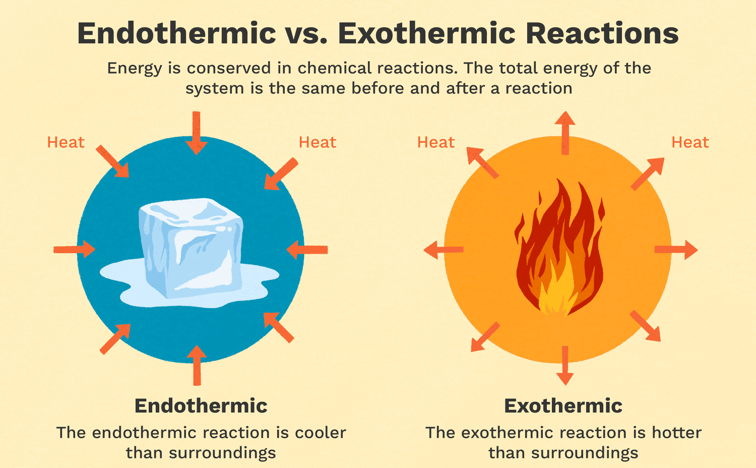Endothermic and Exothermic Chemical Reactions 