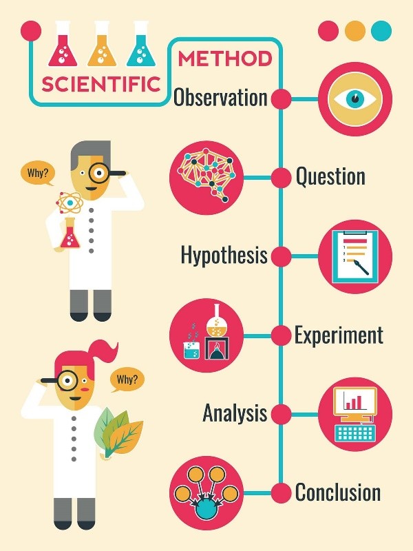 What Are The Steps In The Scientific Method? 