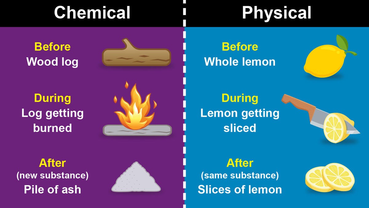 Main Difference Between a Chemical and Physical Change | YourDictionary 