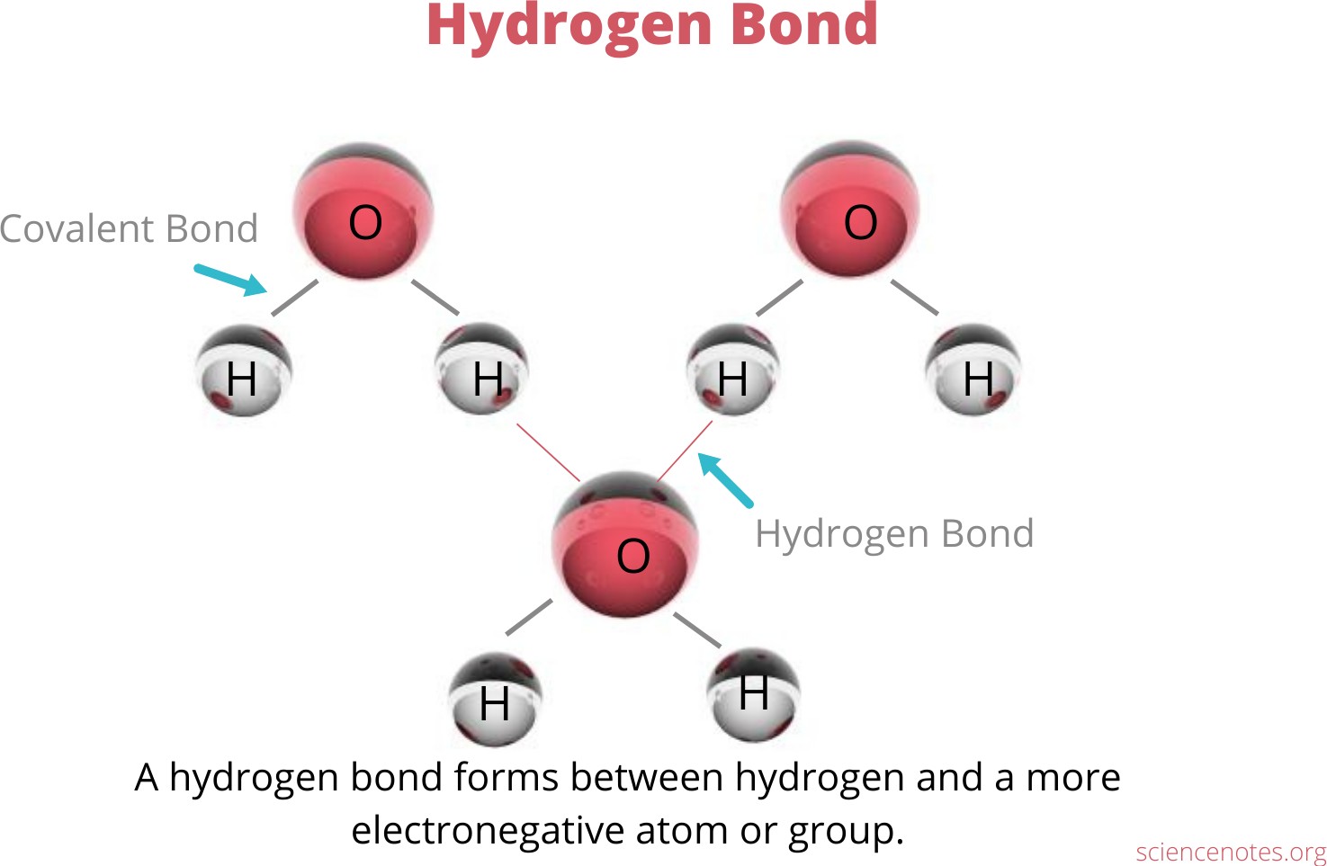 Hydrogen Bond Definition and Examples 
